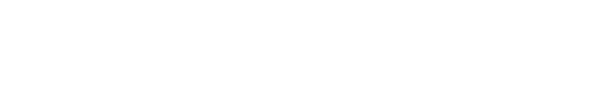 Subtle Studios